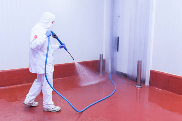 Best Post-Construction Pressure Washing  in Lakewood Clu, MI